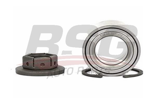 BSG 30600010 Porya Rulmanı Arka