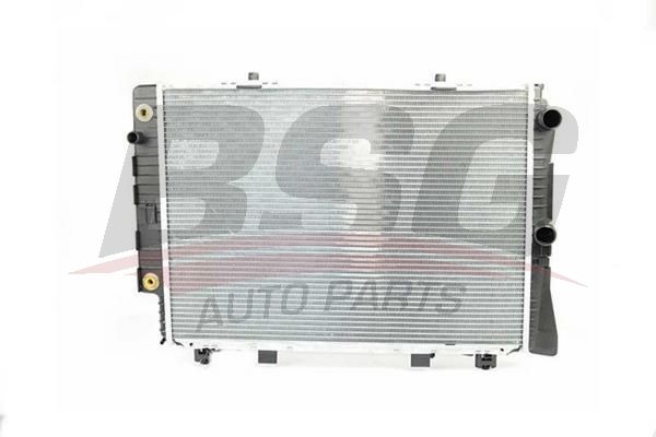 BSG 60520022 Su Radyatörü - . Görsel