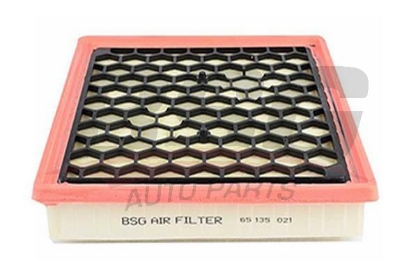 BSG 65135021 Hava Filtresi