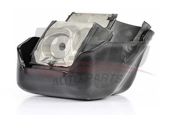 BSG 60700120 Motor Takozu Sağ