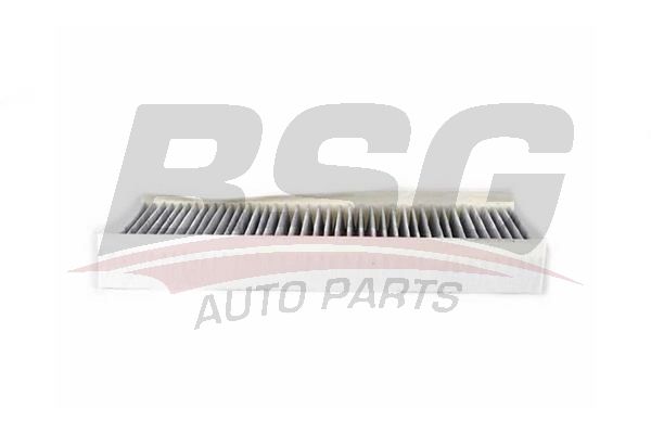 BSG 70145008 Polen Filtresi