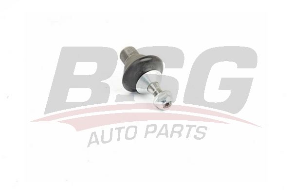BSG 60310235 Rotil Alt