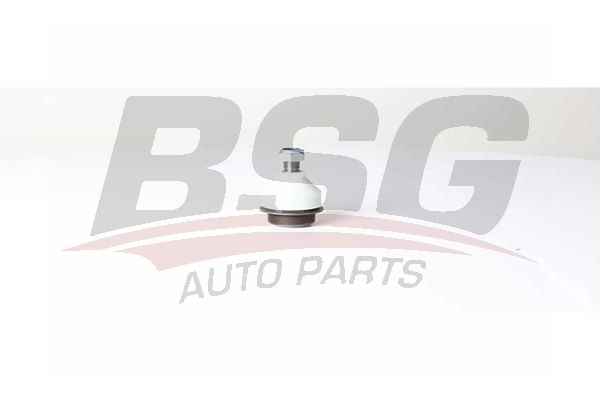 BSG 75310042 Rotil Alt