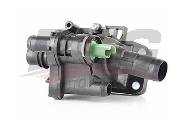 BSG 30126008 Termostat Yuvası