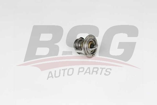 BSG 40126001 Termostat