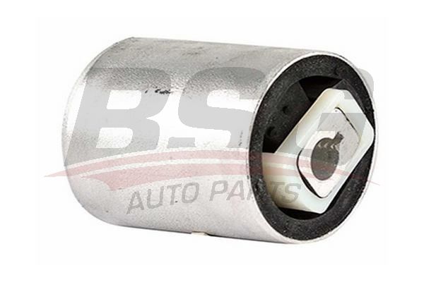 BSG 15700006 Salıncak Burcu