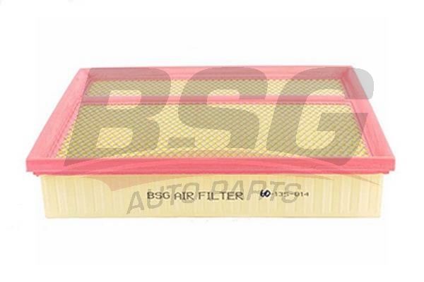 BSG 60135014 Hava Filtresi