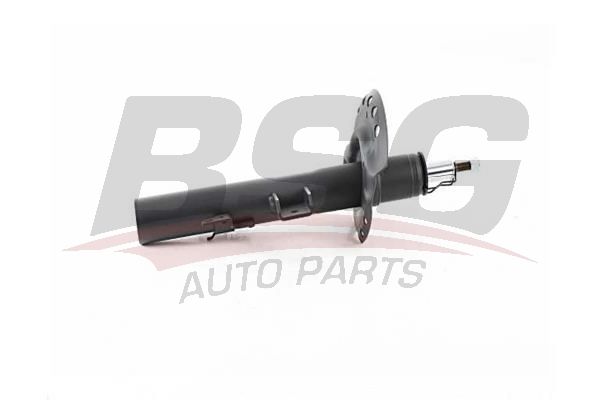 BSG 15300052 Amortisör Arka Sağ