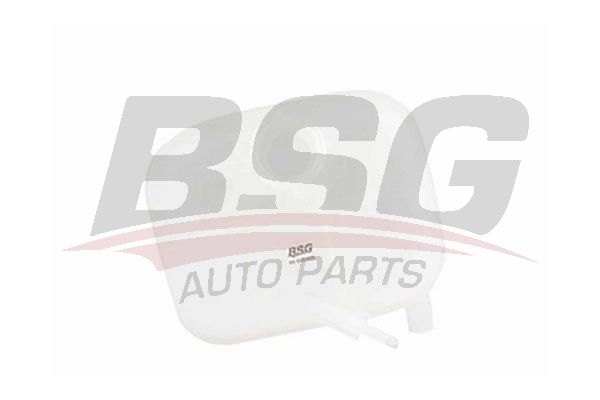 BSG 65550003 Radyatör Yedek Su Deposu - . Görsel