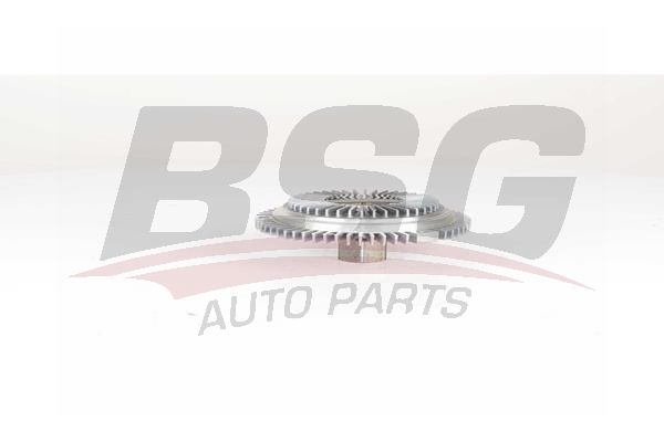 BSG 65505001 Fan Termiği - . Görsel
