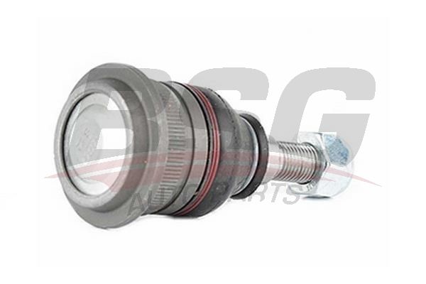 BSG 40310089 Rotil Alt