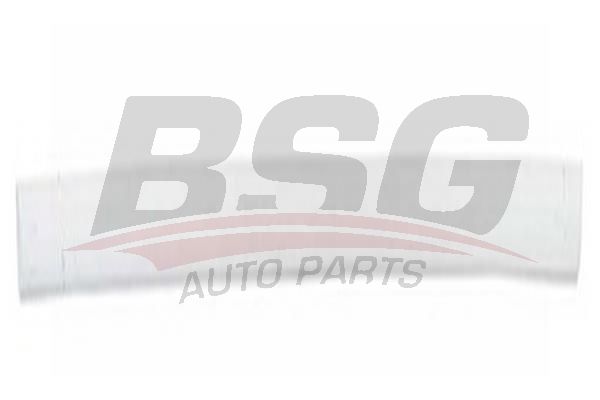 BSG 65925002 Kapı Bandı Ön Sağ