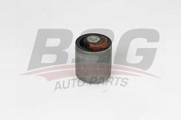 BSG 90700225 Salıncak Burcu