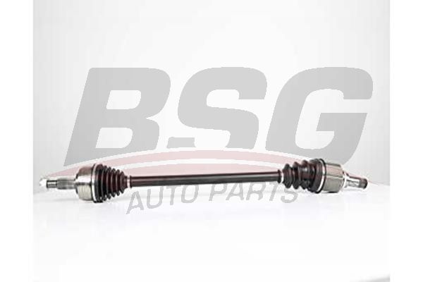 BSG 75350007 Aks Komple Ön Sağ - . Görsel