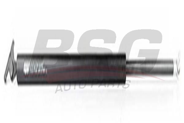 BSG 40980004 Bagaj Amortisörü