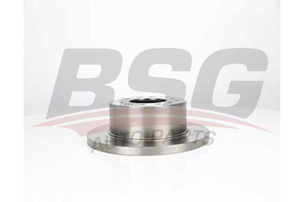 BSG 40210048 Fren Diski Arka