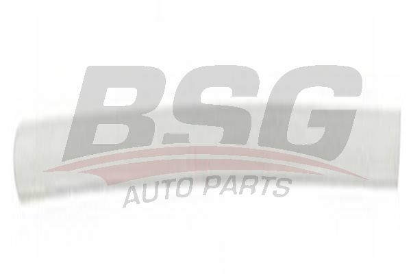 BSG 65924021 Kapı Bandı Ön Sol