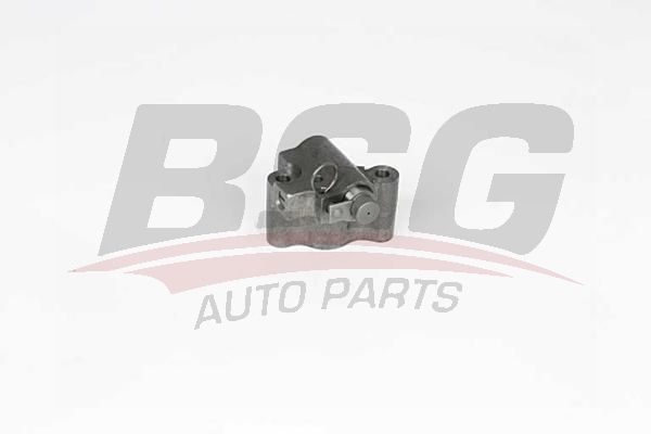 BSG 30109023 Eksantrik Gergi Mekanizması
