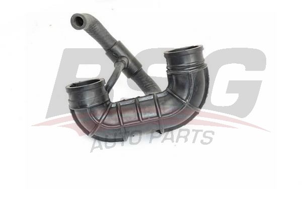 BSG 25720023 Hava Filtre Hortumu