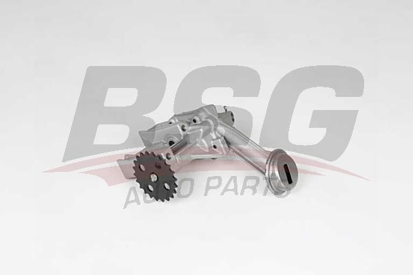 BSG 75101004 Yağ Pompası