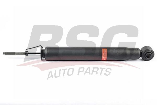 BSG 40300029 Amortisör Arka - . Görsel