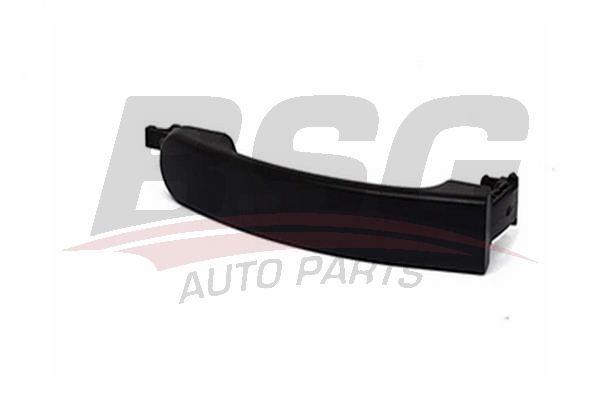 BSG 30970053 Kapı Açma Kolu Dış