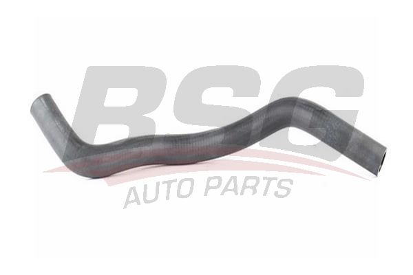 BSG 40720054 Radyatör Hortumu Alt - . Görsel