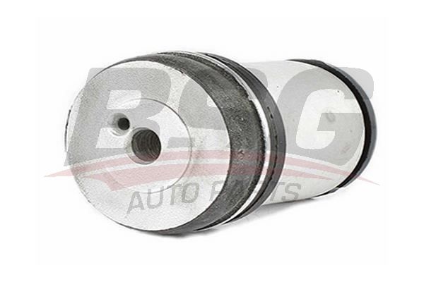 BSG 65700076 Dingil Burcu Arka