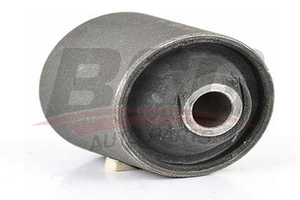 BSG 65700084 Dingil Burcu Arka - . Görsel