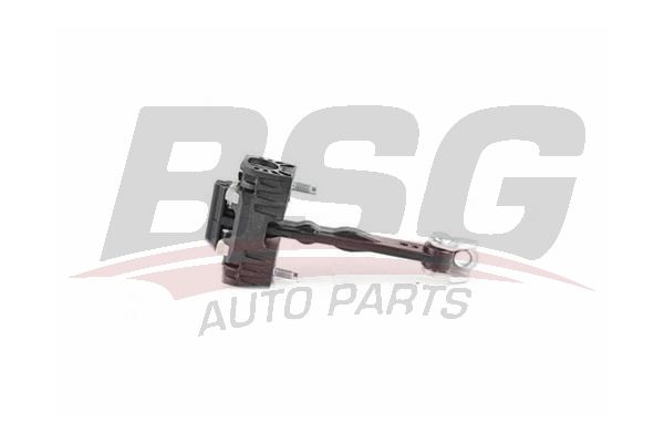 BSG 70975013 Kapı Gergisi Ön