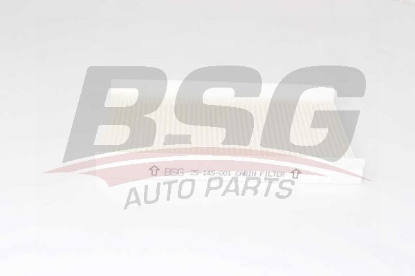 BSG 25145001 Polen Filtresi