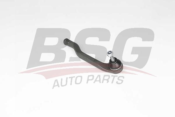 BSG 75310034 Rot Başı Sol
