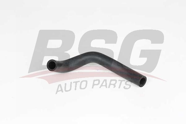BSG 65700416 Yağ Soğutucu Hortumu