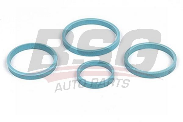 BSG 30116001 Yağ Soğutucu Contası