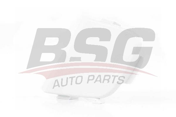 BSG 30922089 Çeki Demir Kapağı Ön