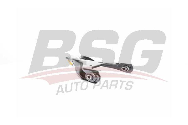 BSG 75315007 Salıncak Ön Sağ - . Görsel