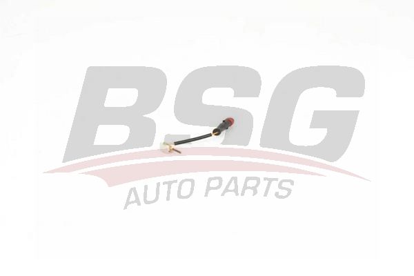 BSG 60201015 Fren Balata Fısı