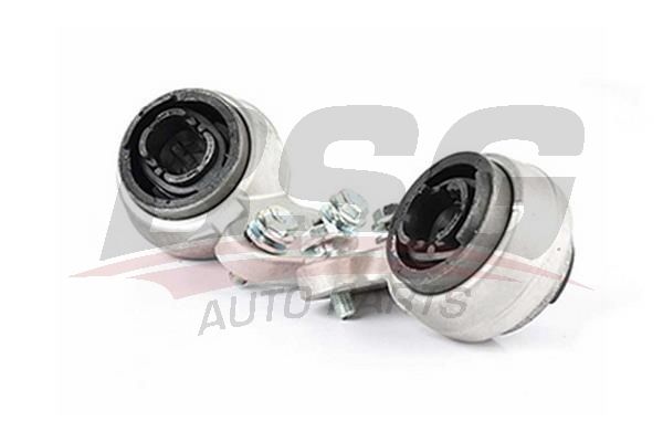 BSG 15700007 Salıncak Burcu