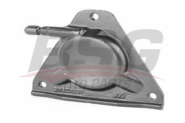 BSG 60700079 Helezon Tablası Sağ