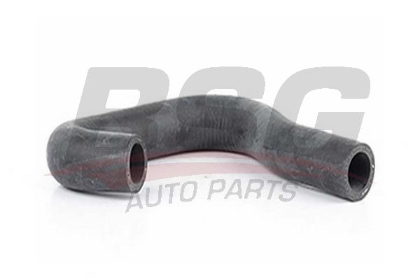 BSG 65720082 Termostat Ara Hortumu