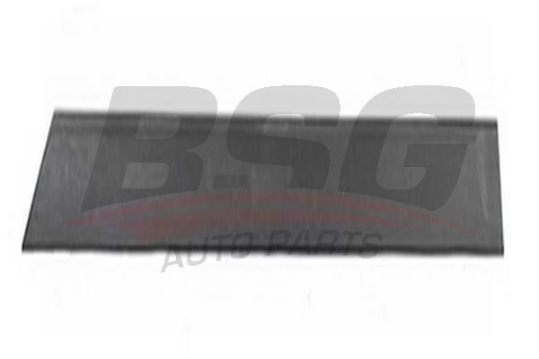 BSG 65925040 Kapı Bandı Arka Sol