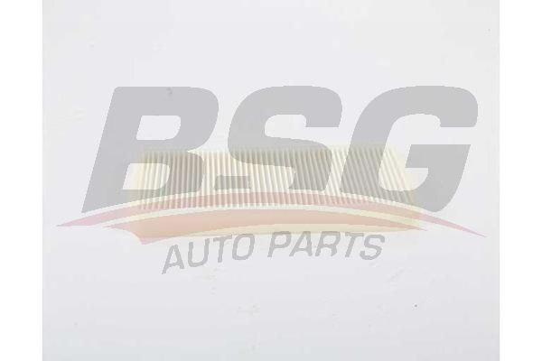BSG 15145017 Polen Filtresi
