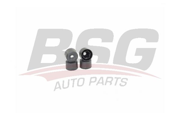 BSG 90230005 Bijon Kapağı - . Görsel