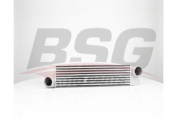 BSG 15535018 Turbo Radyatörü