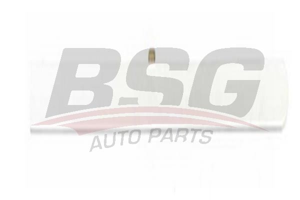 BSG 65924024 Kapı Bandı Arka Sağ