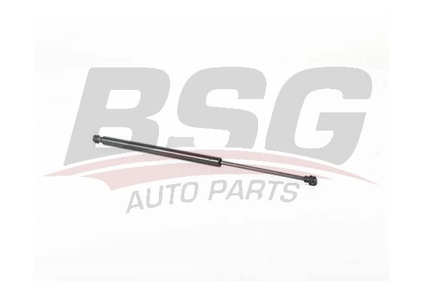 BSG 15980031 Bagaj Amortisörü