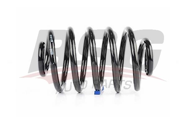 BSG 65305019 Helezon Yayı Arka