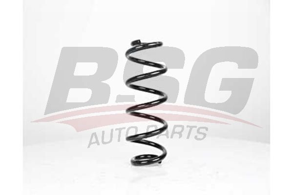 BSG 90305005 Helezon Yayı Ön - . Görsel