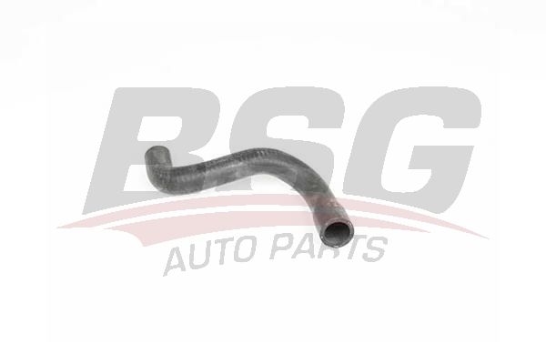 BSG 90720199 Radyatör Su Hortumu