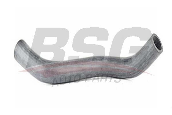 BSG 40720024 Radyatör Hortumu Alt - . Görsel
